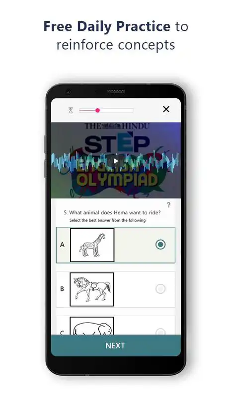 Play Learn English Grammar  more | STEP